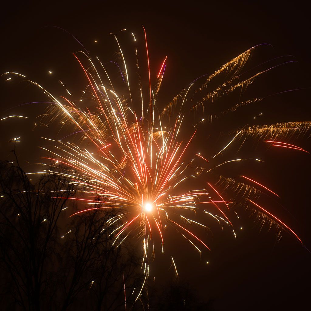 Hero image for New Year, New Me?
